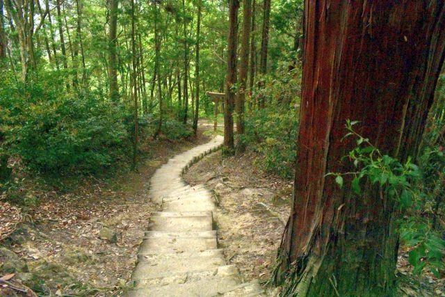 「気」がスゴイと噂の石上布都魂(いそのかみふつみたま)神社へ行ってみた